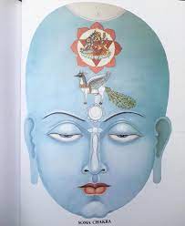 Soma Chakra: Unveiling The Inner Serenity | Discovering Blissful Balance